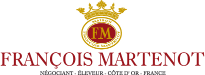 logo Martenot